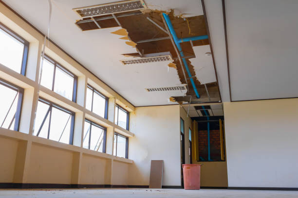 Best 24-hour water damage restoration  in San Buenaventura, CA
