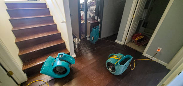 Best Water damage contractors near me  in San Buenaventura, CA