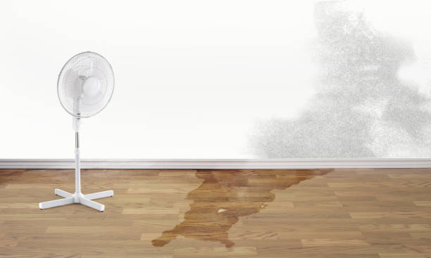 San Buenaventura, CA Water damage restoration Company