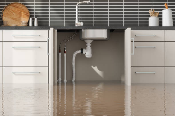 Best Water damage restoration insurance claims  in San Buenaventura, CA