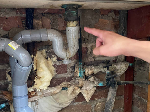  San Buenaventura, CA Water damage restoration Pros