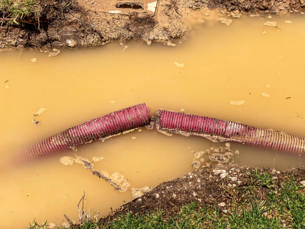 Best Water damage contractors near me  in San Buenaventura, CA